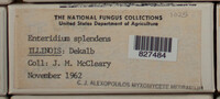 Image Associated With the Occurence